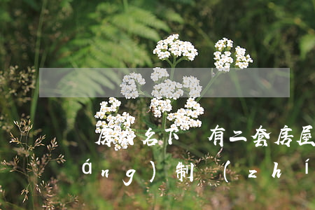 購房人名下雖有二套房屋仍可排除強(qiáng)制執(zhí)行？
